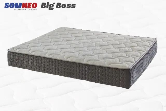 Big Boss — No color